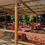Bed and Breakfast Arnika Fužine